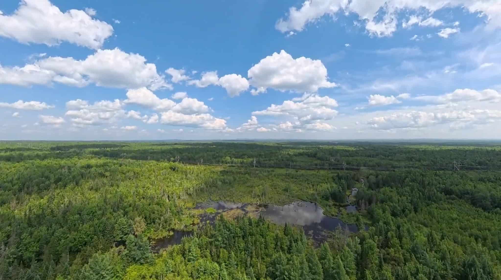 58.8 Wooded Acres with Pond – Pittsfield, Maine